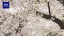 Web site image