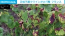 Web site image