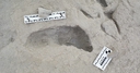 Web site image
