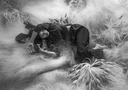 Web site image