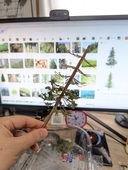 Web site image