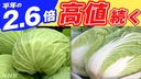 Web site image