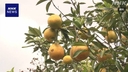 Web site image