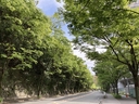 Web site image