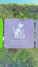 Web site image