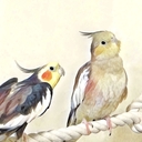 Web site image