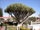 Web site image