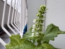 Web site image