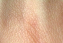 Web site image