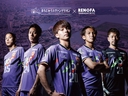 Web site image