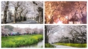 Web site image