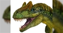 Web site image