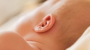 Web site image