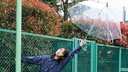 Web site image