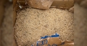 Web site image