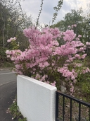 Web site image