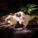 Web site image