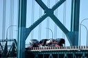 Web site image
