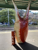 Web site image