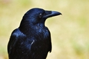 Web site image