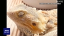 Web site image