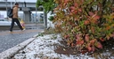 Web site image