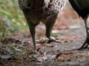 Web site image