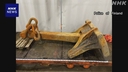 Web site image