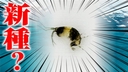 Web site image