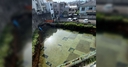 Web site image