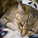 Web site image