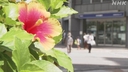 Web site image