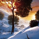 Web site image