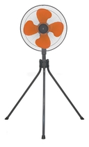 Web site image