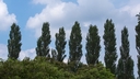 Web site image