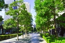 Web site image