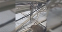 Web site image