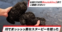 Web site image