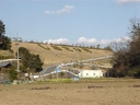 Web site image