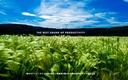 Web site image