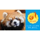 Web site image