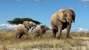 Web site image