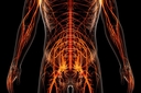 Web site image