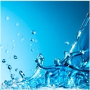 Web site image