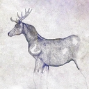 Web site image