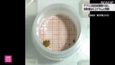 Web site image