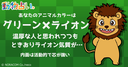 Web site image