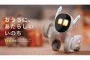 Web site image