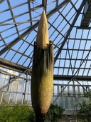 Web site image