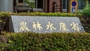 Web site image